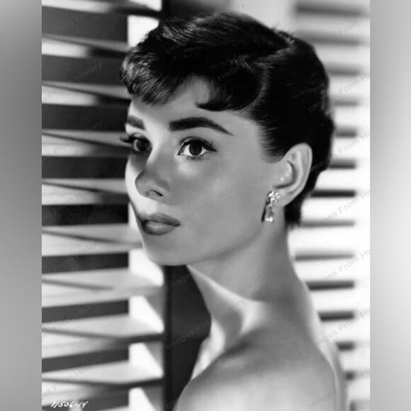 Chat Noir Print picture living room wall art home decor - Picture 4 of 4